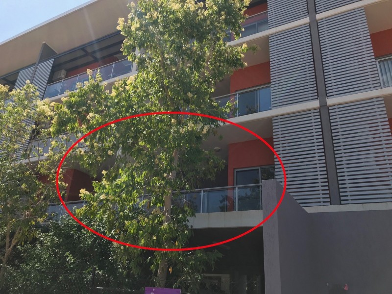303/250 Farrar Boulevard, Johnston NT 0832