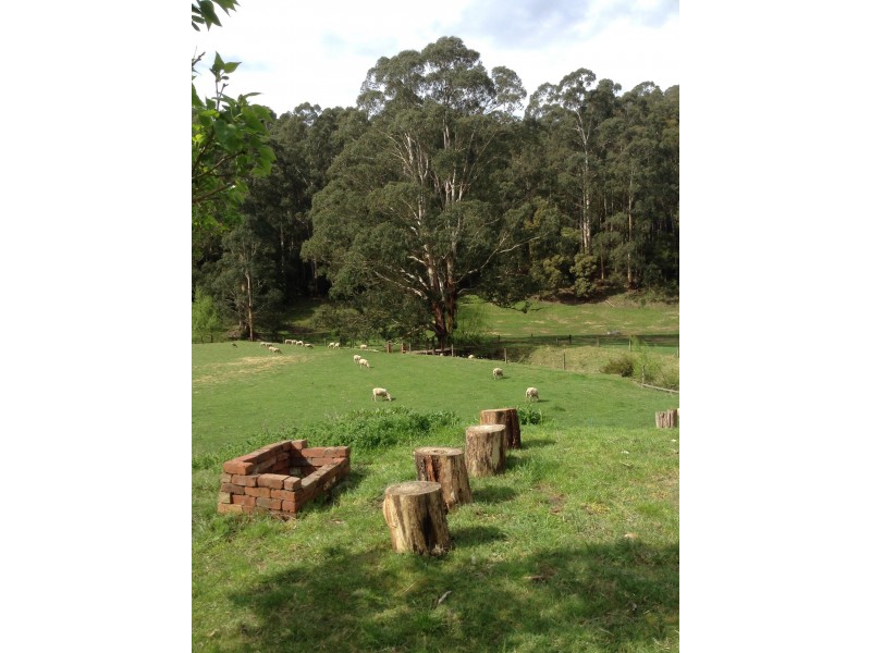 2515 Colac-Lavers Hill Road, Gellibrand VIC 3239