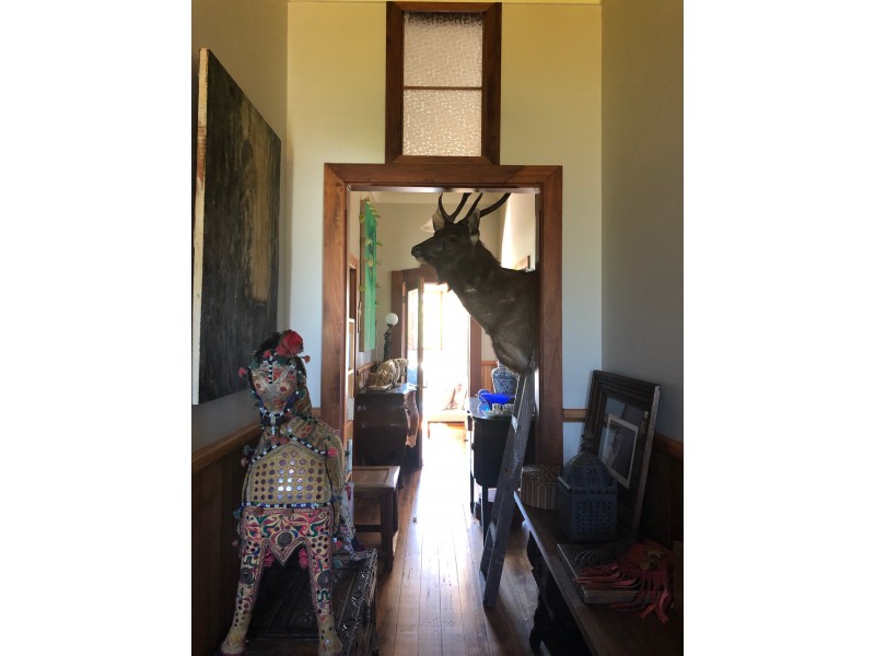 8 Johnson Street, Sheffield TAS 7306