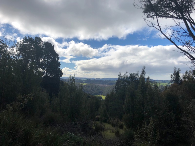 164 Wildlife Road, Claude Road TAS 7306