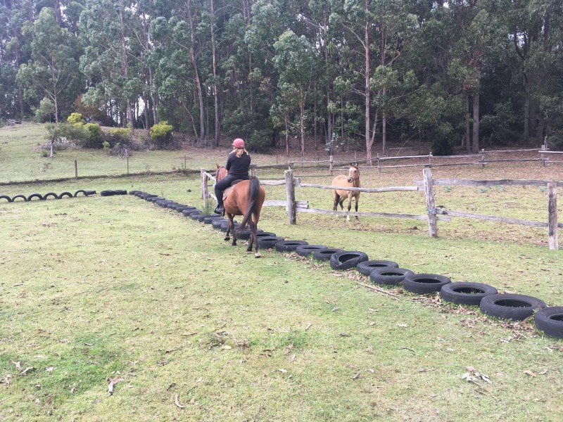 1039 West Calder Road, Calder TAS 7325