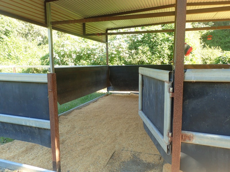 234 Savages Road, Brookfield QLD 4069