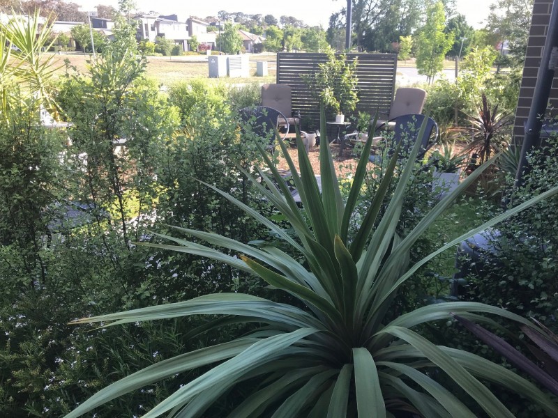 5 Proud Street, Forde ACT 2914