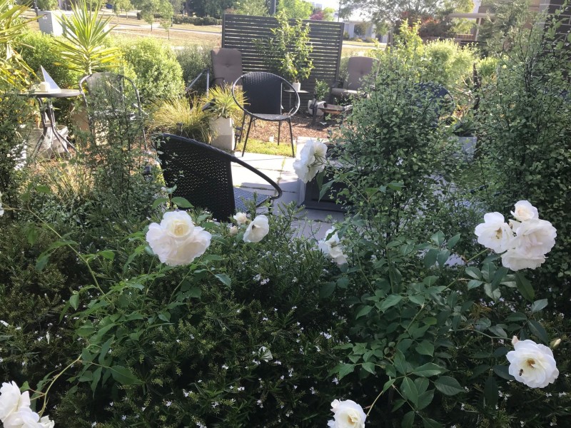 5 Proud Street, Forde ACT 2914