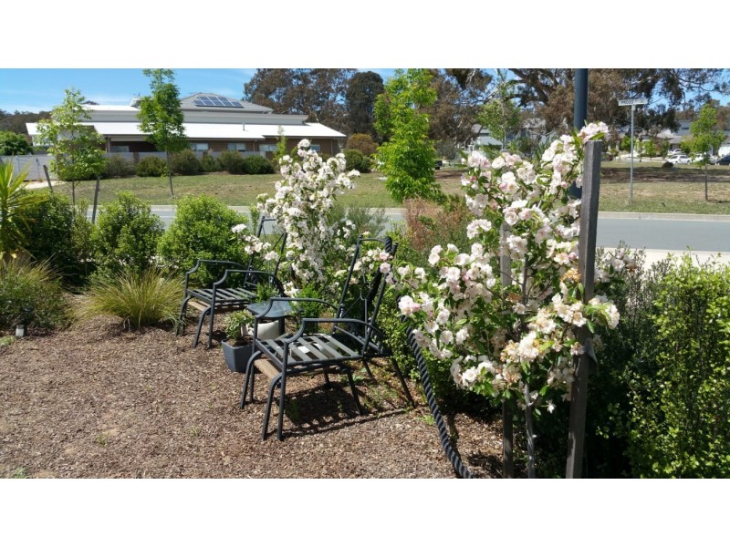 5 Proud Street, Forde ACT 2914