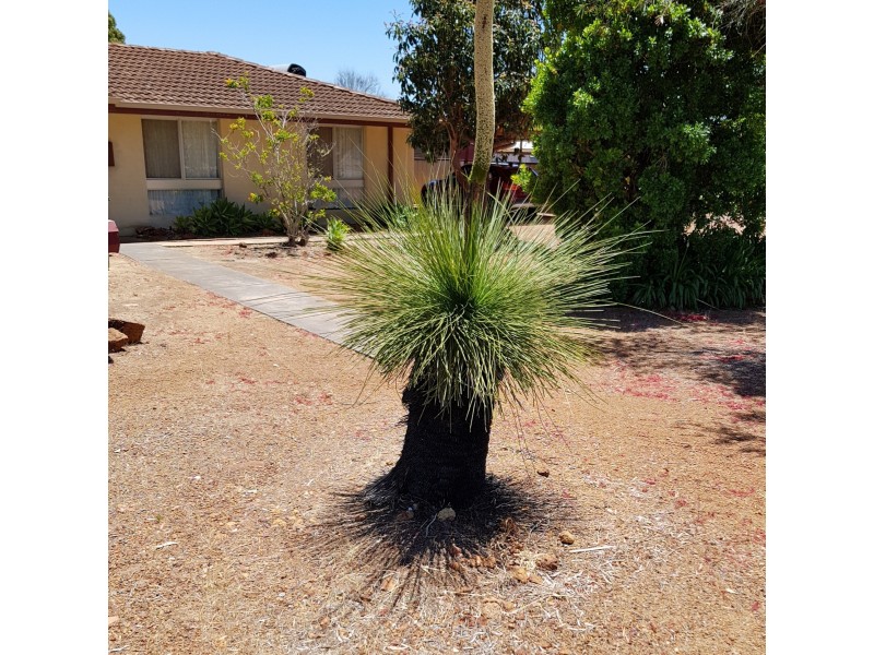 3 Wilkins Road, Kalamunda WA 6076