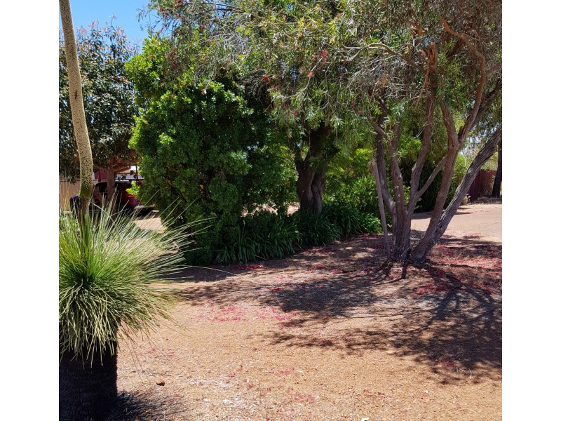 3 Wilkins Road, Kalamunda WA 6076