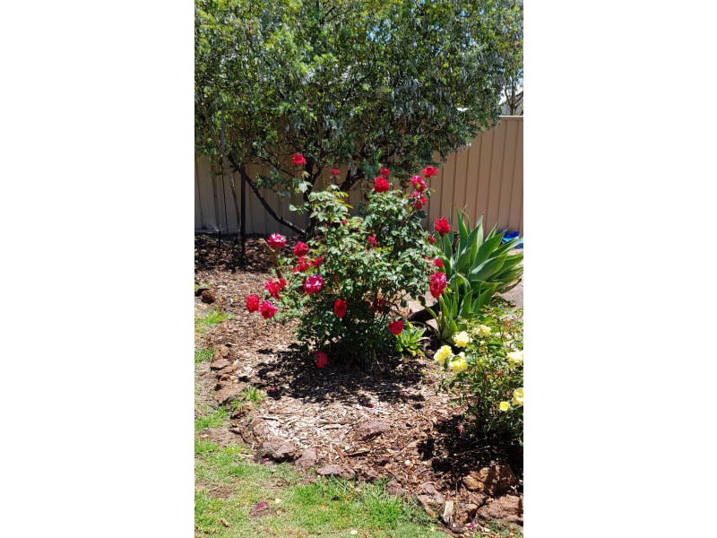 3 Wilkins Road, Kalamunda WA 6076