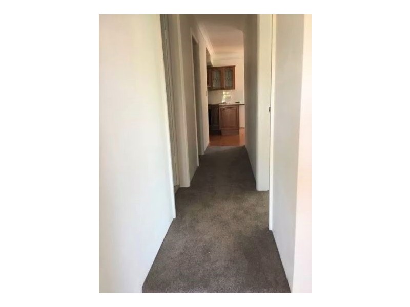 1/93 Addison Road, Manly NSW 2095