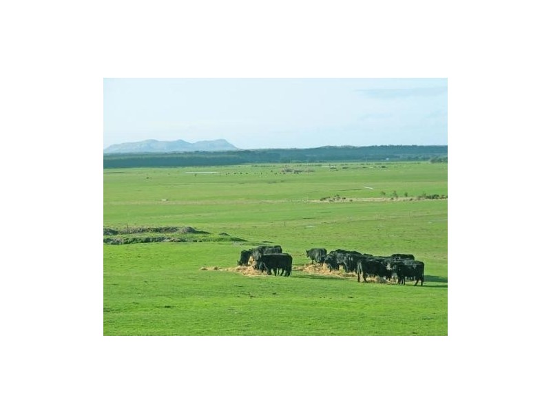 251 Haulands Gap Road, Lackrana TAS 7255
