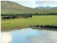 251 Haulands Gap Road, Lackrana TAS 7255