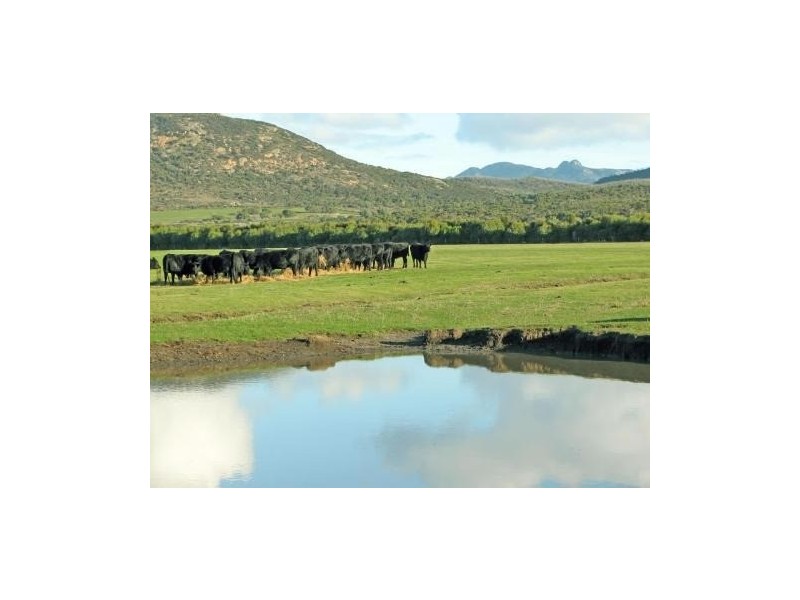 251 Haulands Gap Road, Lackrana TAS 7255