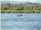 251 Haulands Gap Road, Lackrana TAS 7255