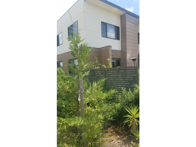 5 Proud Street, Forde ACT 2914