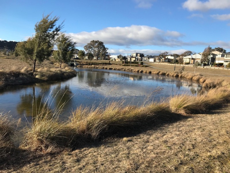 5 Proud Street, Forde ACT 2914