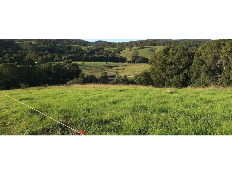 109 Upsalls Creek Road, Kendall NSW 2439