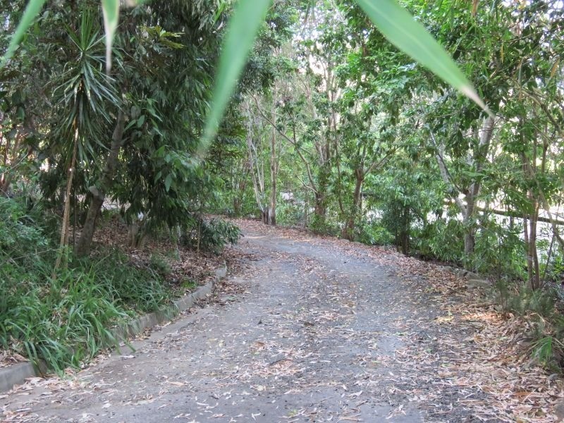 9 Waterfall Drive, Wongawallan QLD 4210