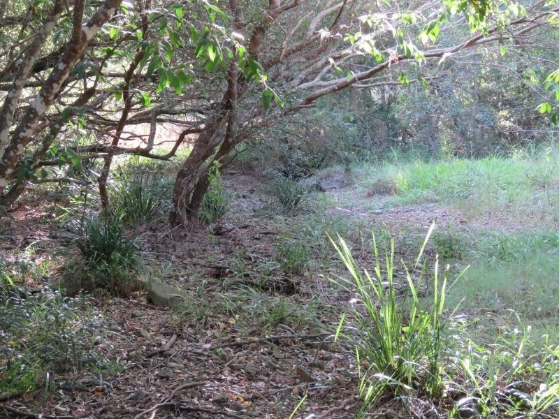 9 Waterfall Drive, Wongawallan QLD 4210