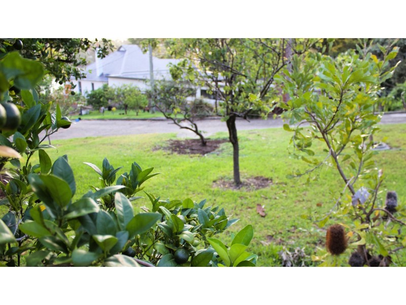 12 Russell Street, Oatley NSW 2223