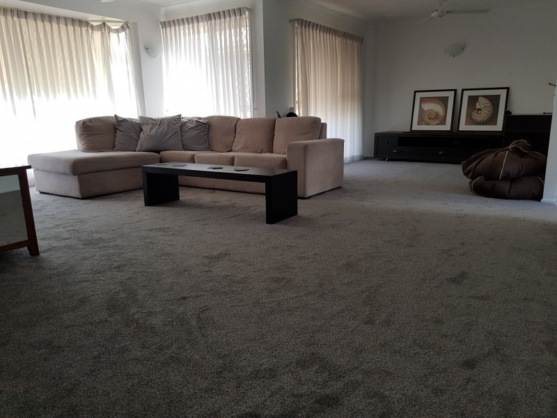 16 Spinebill Street, Burleigh Waters QLD 4220