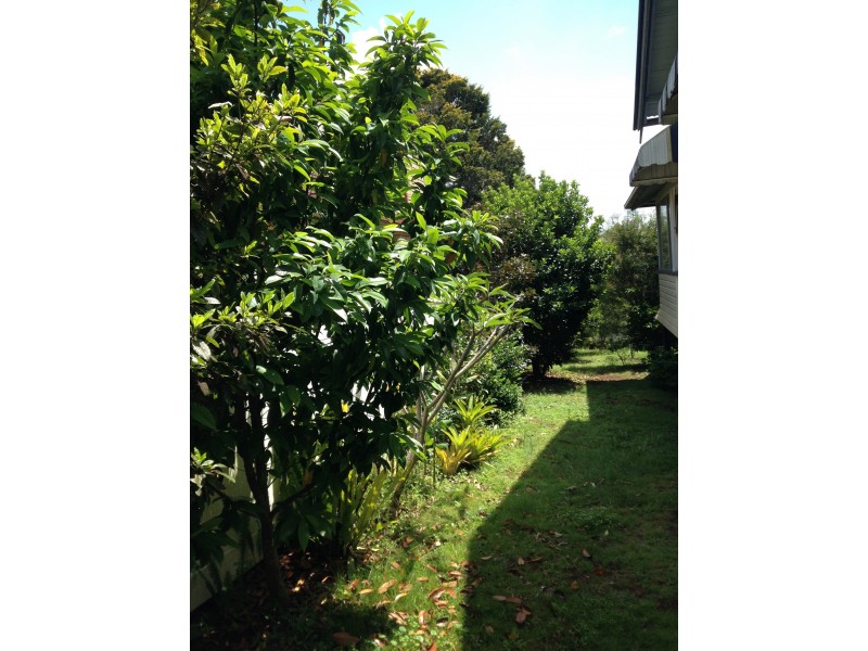 95 Avondale Avenue, East Lismore NSW 2480