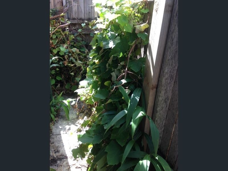 25 Smith Street, Summer Hill NSW 2130