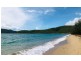 53 Trochus Street, Dingo Beach QLD 4800