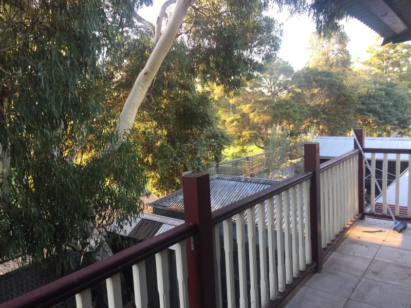 56 Fehon Street, Yarraville VIC 3013