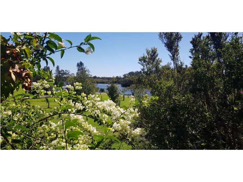 117 Manns Road, Darawank NSW 2428