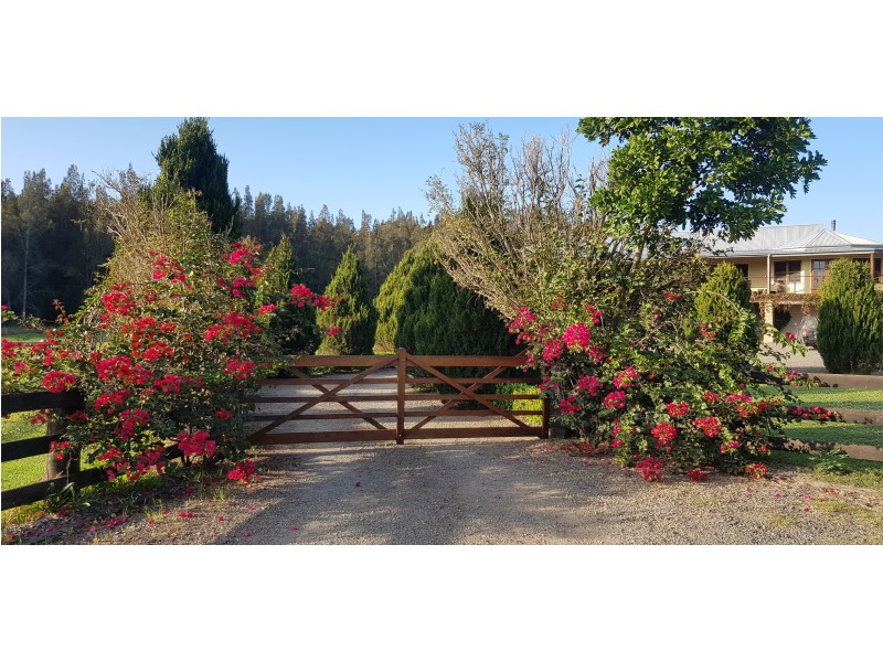 117 Manns Road, Darawank NSW 2428