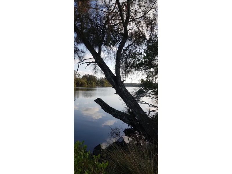 117 Manns Road, Darawank NSW 2428