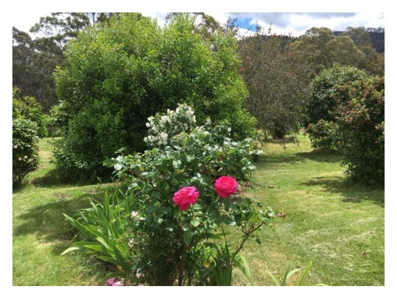 25-27 Alexander Street, Cornwall TAS 7215