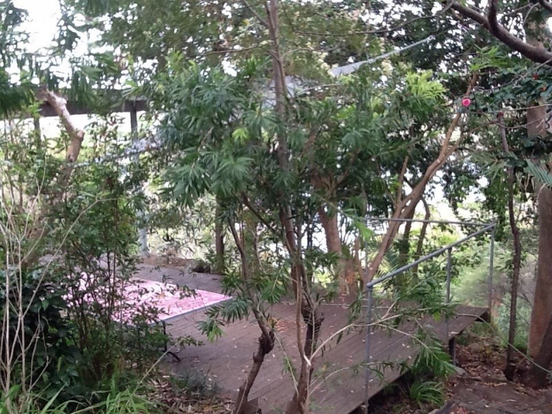 40 Abernethy Street, Seaforth NSW 2092