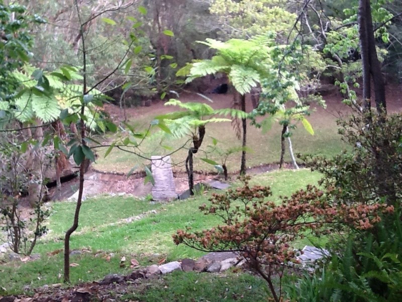 40 Abernethy Street, Seaforth NSW 2092