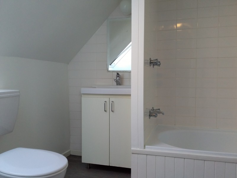 229 Trafalgar Street, Stanmore NSW 2048