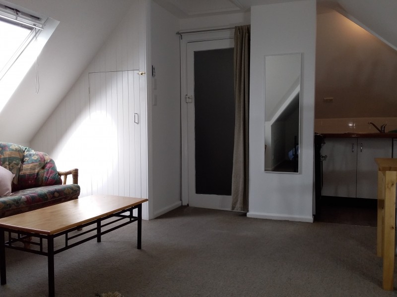 229 Trafalgar Street, Stanmore NSW 2048