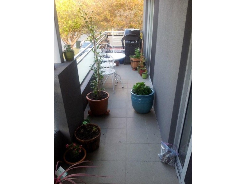 2/36 Paget Street, Hilton WA 6163