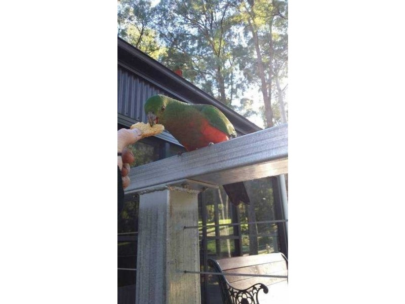 10a Overflow Road, Sawmill Settlement VIC 3723