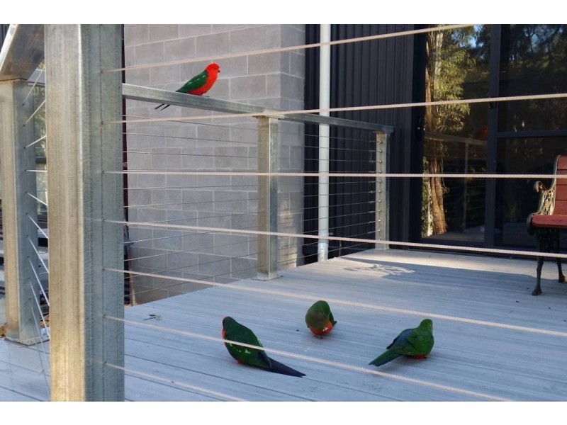 10a Overflow Road, Sawmill Settlement VIC 3723