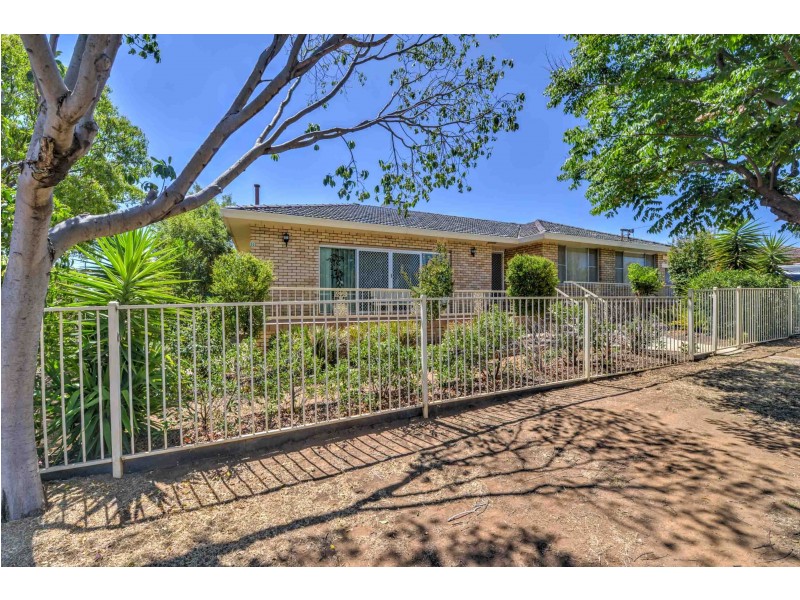 50 Ridge Street, Tamworth NSW 2340
