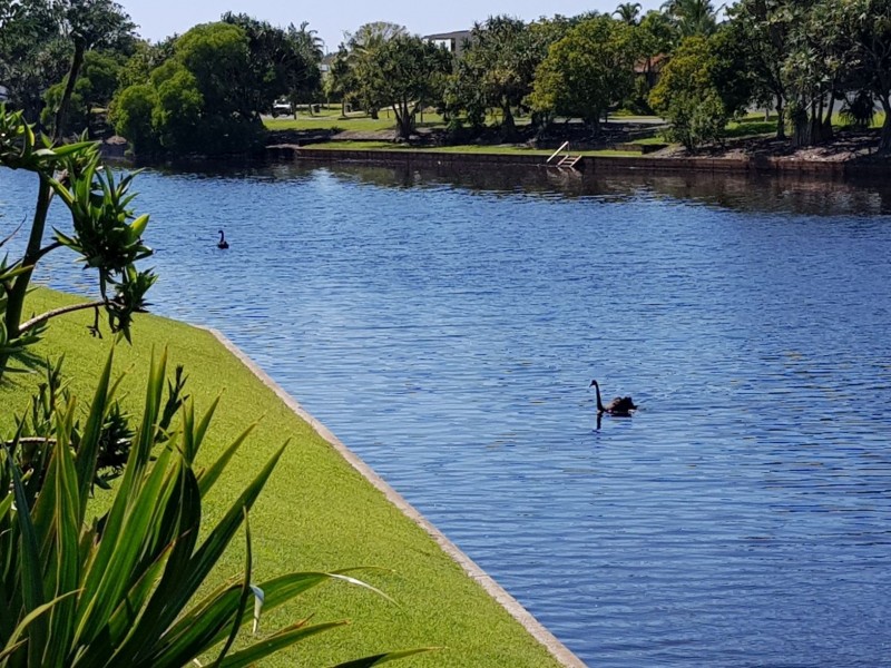 131/2 Peregrine Drive, Wurtulla QLD 4575