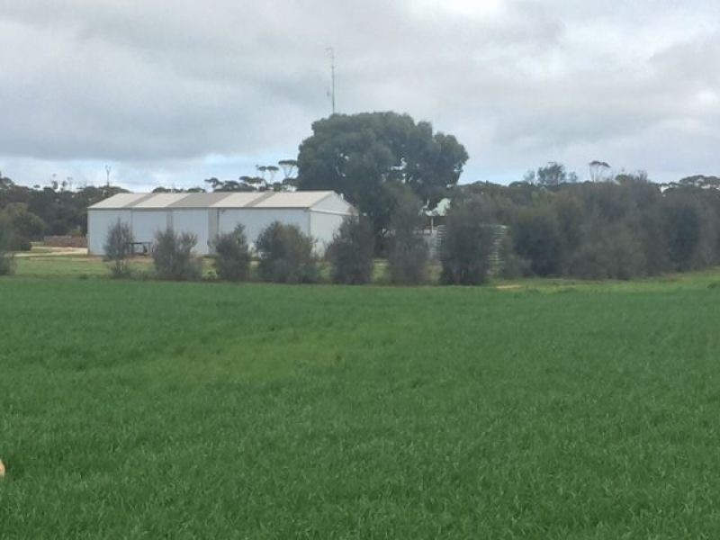 16 Yates Road, Kimba SA 5641
