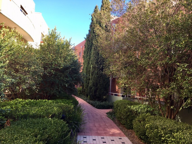 6/36 Flora Street, Erskineville NSW 2043