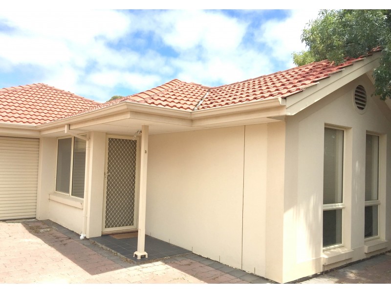 54 Sixth Avenue, Ascot Park SA 5043