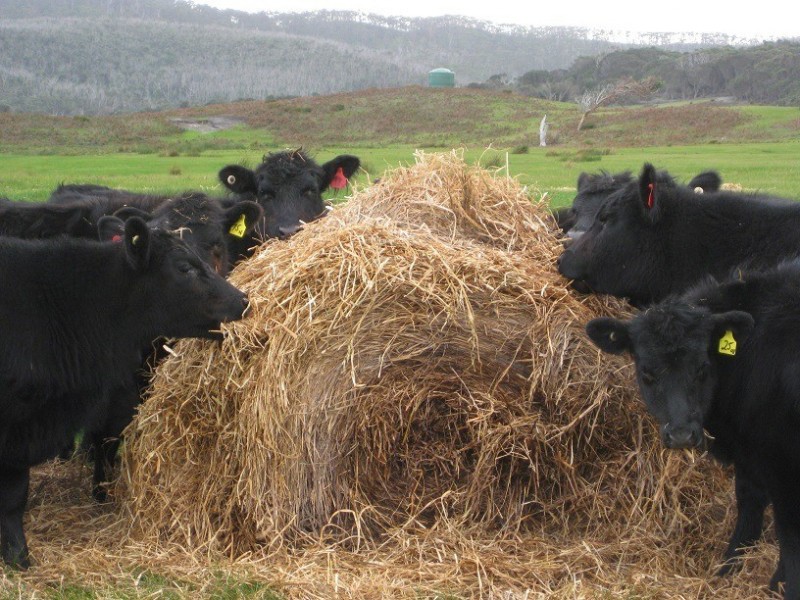 684 Palana Road, Whitemark TAS 7255