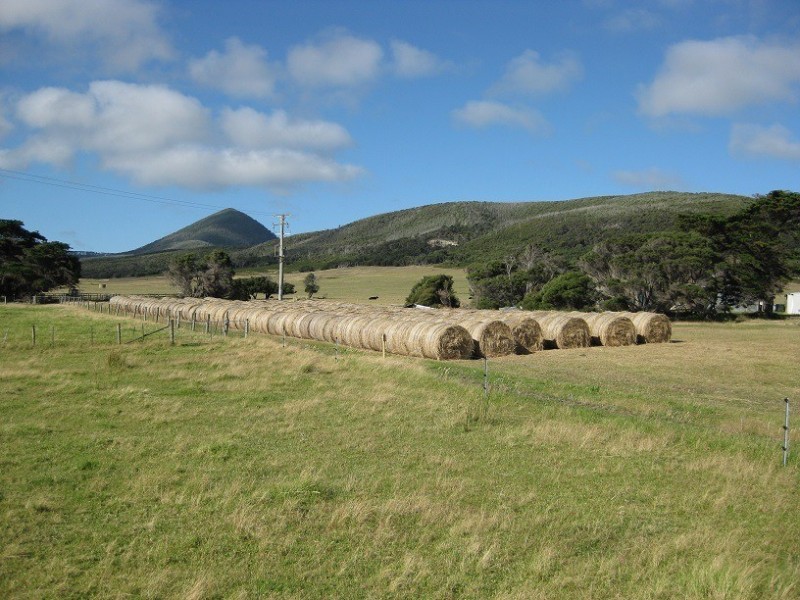 684 Palana Road, Whitemark TAS 7255