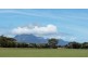 684 Palana Road, Whitemark TAS 7255