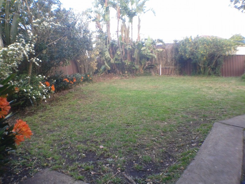 20 Dartford Street, Mount Pritchard NSW 2170