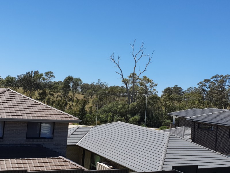 11 Bega Street, Gregory Hills NSW 2557