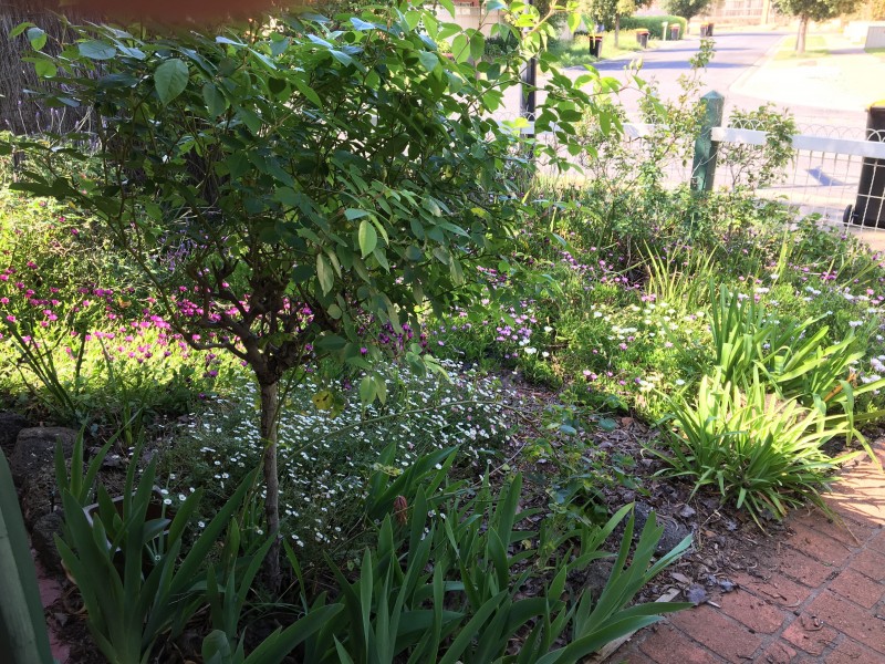 27 Elphinstone Way, Caroline Springs VIC 3023